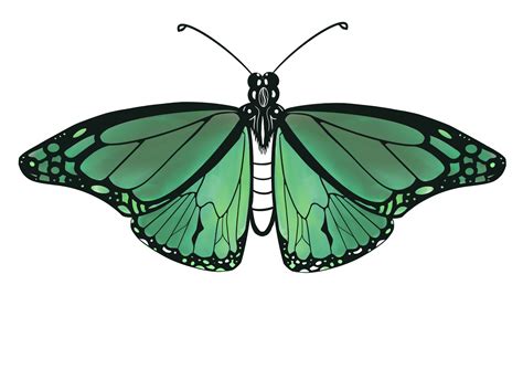 butterfly tattoo ankle 4