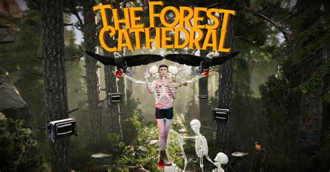 The Forest Cathedral Galerie Adventure Corner