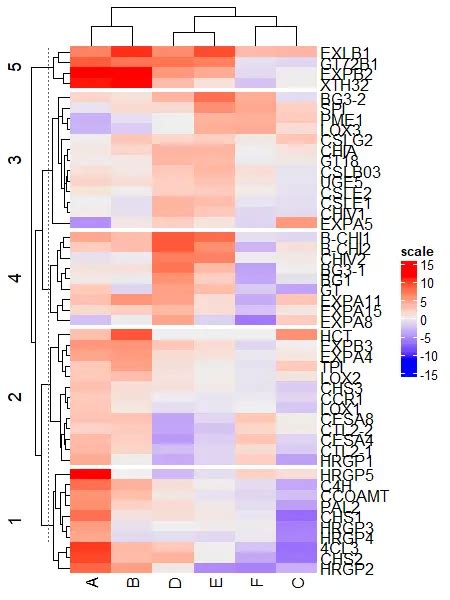 Complexheatmap Create Complex Heatmaps In R