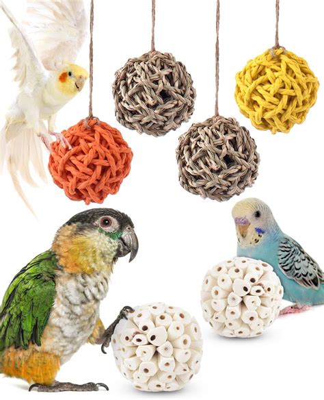 Amazon Bissap Pcs Small Parrot Chew Toys Sola Balls Parrot