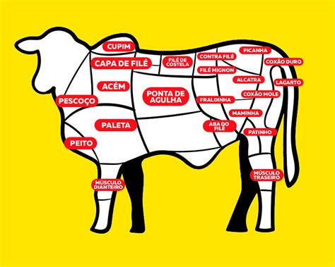 Cortes De Carne Bovina Classificações E Características