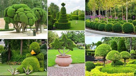 Diy Gardening 120 Amazing Topiary Garden Ideas Diy Garden Topiary