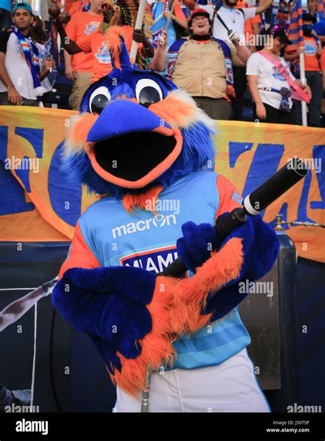 Miami, Florida, USA. 13th May, 2017. Golazo, the Miami FC mascot, with ...