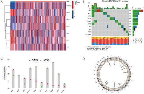 Cuproptosis Related Gene CRG Expression And Mutations In COAD