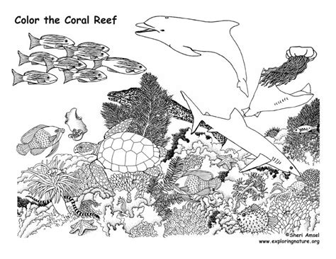 Coral Reef Coloring Page