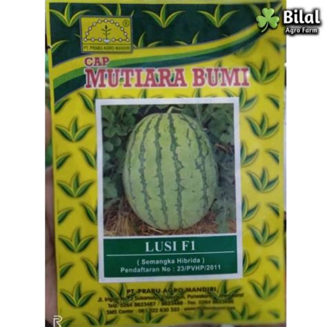 Jual Benih Semangka Hibrida Lusi F1 20 Gr Bibit Semangka Berbiji Cap