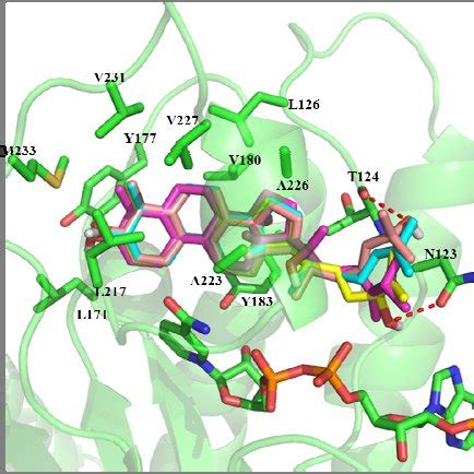 The Binding Mode Of Compounds And Purple Compound Cyan