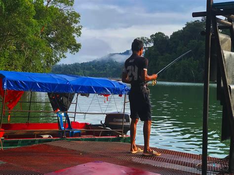 Pesona Tasik Pedu Lokasi Aktiviti Harga Tiket Terkini