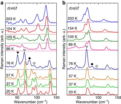 Temperature Dependence Of Polarized Raman Spectra In Ttf Ca A Zxx