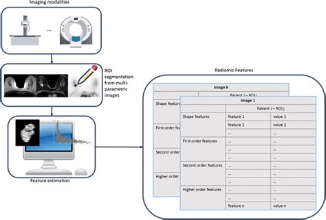 Radiomics Workflow Radiomics Features Can Be Calculated From One Or