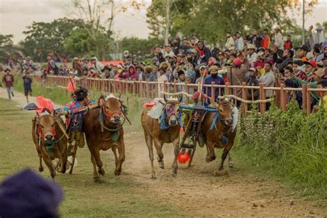 Suspenden la discusión por la prohibición de las corridas de toros