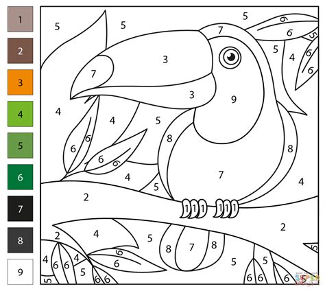 Toucan Color By Number Free Printable Coloring Pages