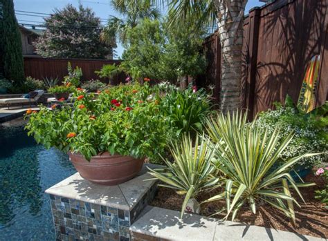 Pool-scape: Beautiful Plants for Your Outdoor Oasis - Roundtree ...