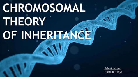 CHROMOSOMAL THEORY OF INHERITANCE | PPT 