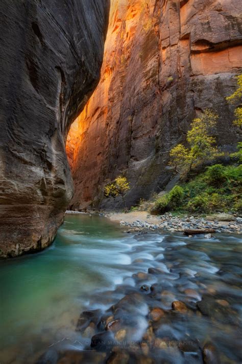 Zion National Park Alan Majchrowicz Photography