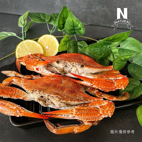 藍蟹 Blue Crab 園芯貿易有限公司