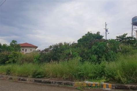 169 Sqm Overlooking Lot For Sale In Vista Grande Talisay Cebu City