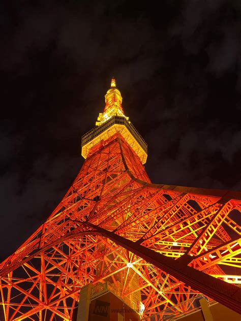 夜の東京タワーも綺麗です。 午前中に比べ 東京都港区 こう ウェザーニュース