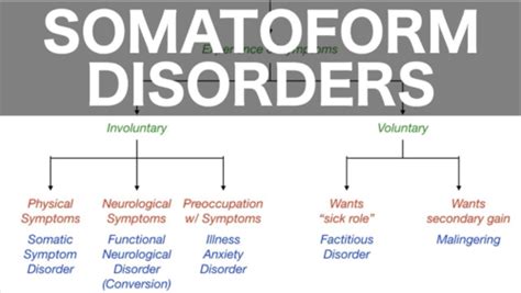 Ch Somatic Symptom Disorder Flashcards Quizlet