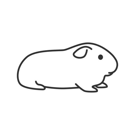 Cavy Linear Icon Thin Line Illustration Domestic Guinea Pig Contour