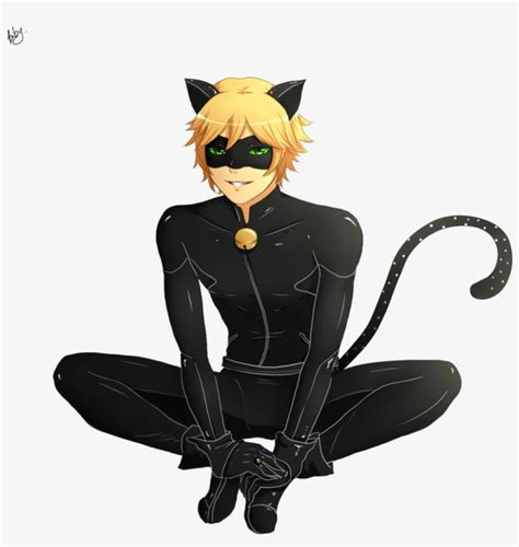 Lady Bug E Cat Noir Cat Noir Ladybug Png PNG Image Transparent PNG