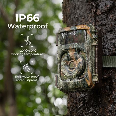 How Do Game Cameras Work Without Wifi?