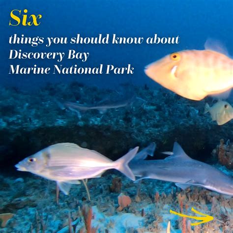 Victorian National Parks Association (@vicnationalparks) • Instagram