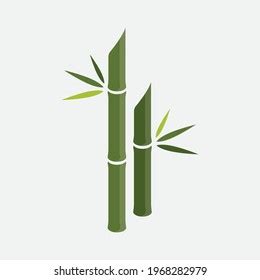 Green Bamboo Stems Leaves Realistic Vector Stock Vector Royalty Free