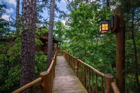 Best Tree House Hotels In The World With Hot Tubs Air Conditioning