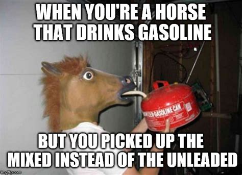 horse drinking gasoline Memes & GIFs - Imgflip