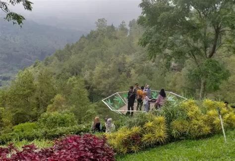 Kawasan Taman Langit Gunung Banyak Jurnal News