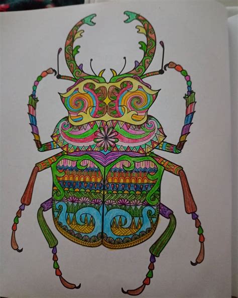 Relaxing coloring book: Beetle by Velentrementh on DeviantArt