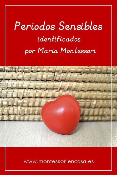 Libro Metodo Montessori En Casa