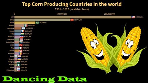 Top Corn Maize Producing Countries In The World YouTube