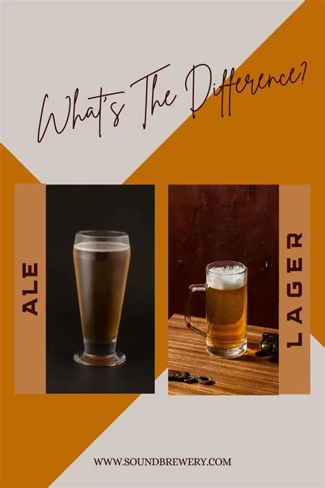 Ale Vs Lager Whats The Difference Sound Brewery In 2024 Ale