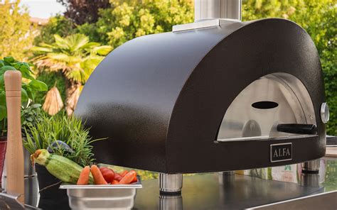 Oven Moderno 1 Pizza Oven For Home Use Alfaforni