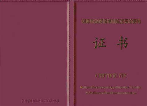 《思维导图训练师》国家认证培训课程┊颁发权威证书┊中国学习能力研究院