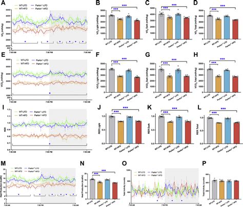 Metabolic Properties During a 24 Hour Cycle in WT and Parkin À À Mice