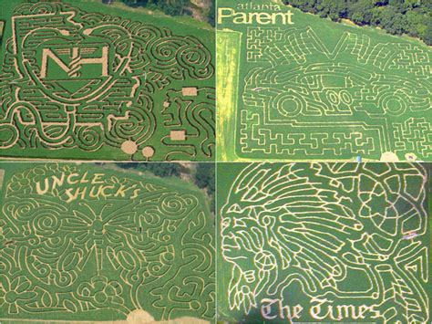 A Corn Maze Adventure In Illinois Georgia And North Carolina