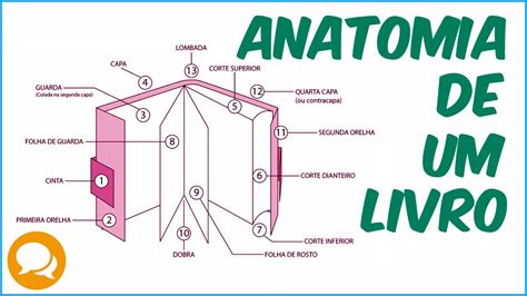 Falemos Sobre As Partes De Um Livro Youtube