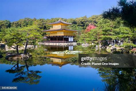 Kinkakuji Temple The Golden Pavilion Kyoto Japan News Photo Getty