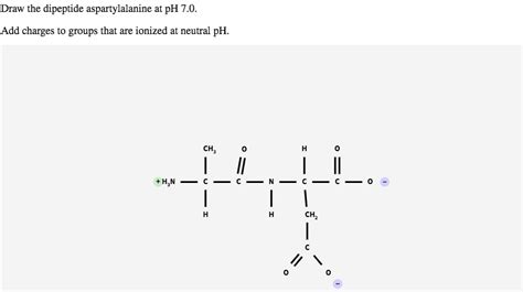 Solved Draw The Dipeptide Aspartylalanine At Ph Add Charges To