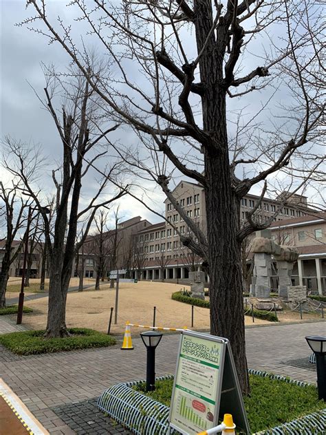 首都大学東京 南大沢キャンパス ラボナビ