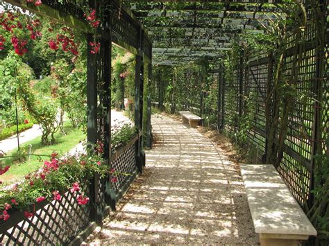 long arbor Roseraie du Val de Marne Roseraie de L Haÿ Malcolm