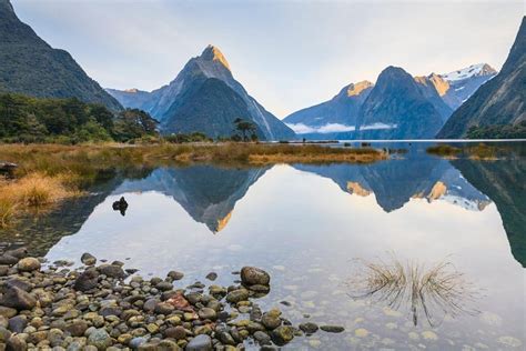 Tripadvisor Ganztagstour Milford Sound Und Fiordland Nationalpark