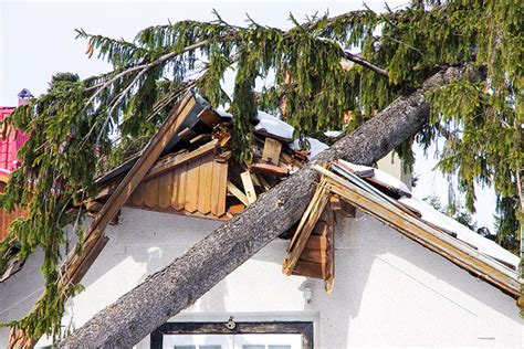 Jährlich über vier Milliarden Euro Schäden durch Unwetter Schwetzler