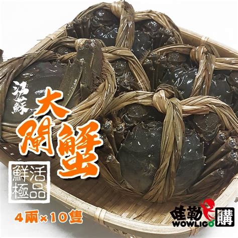 江蘇大閘蟹~正港大閘蟹4兩±5 買10隻送2隻 免運 哇勒購 新鮮水果海鮮購物網｜進口水果｜櫻桃｜明蝦｜香魚