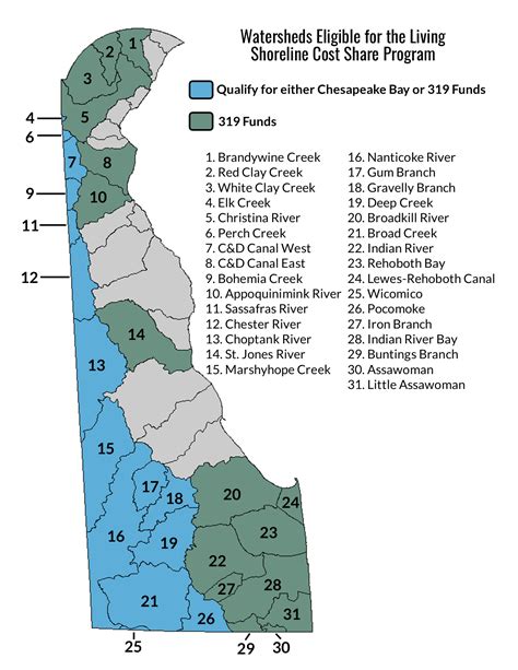 Delaware Introduces Living Shoreline Cost Share Program To Combat