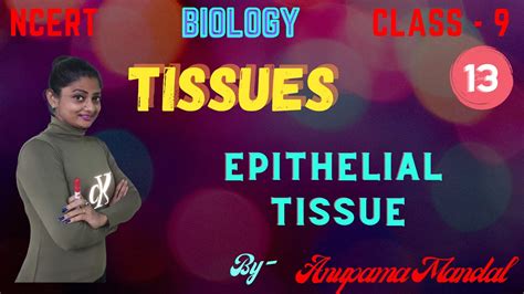 Tissues Epithelial Tissue Class 9 Biology Youtube