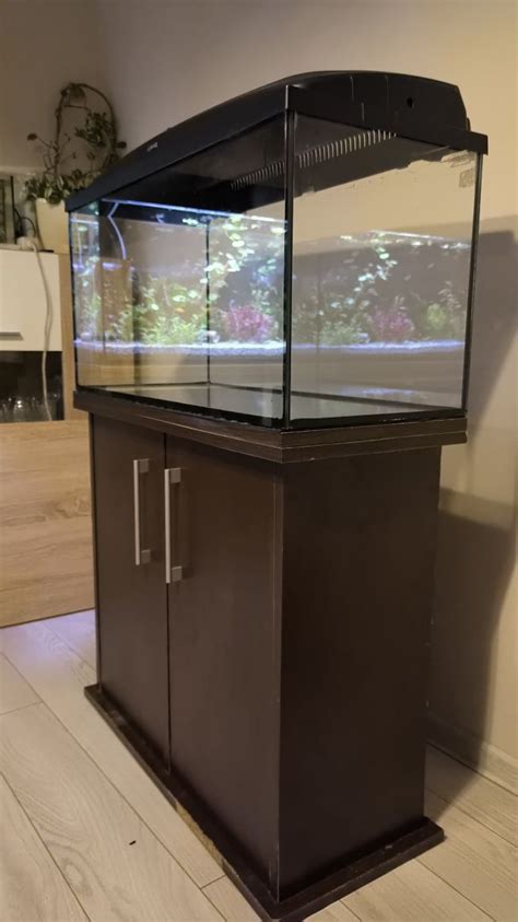 Akwarium Terrarium Szafka Pokrywa Pietrowice Wielkie Olx Pl